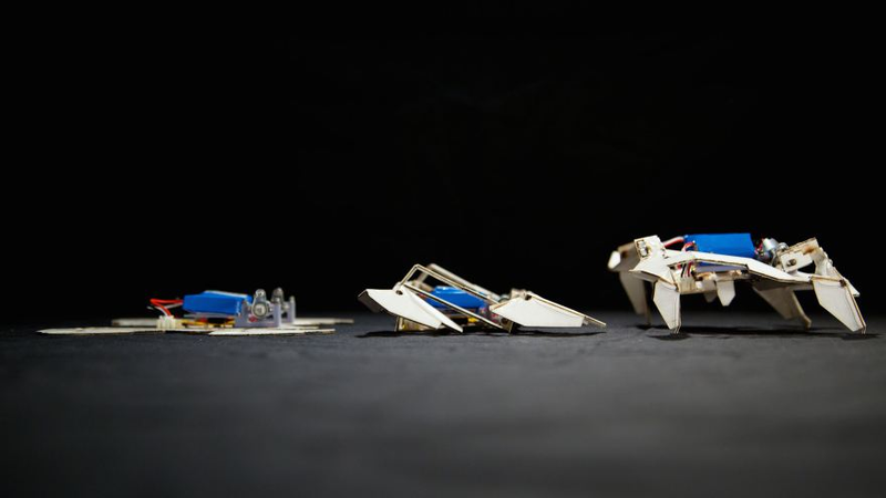 Illustration for article titled Self-Assembling Robots Are Here, And They Are Awesome